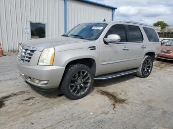  Salvage Cadillac Escalade