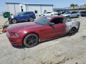  Salvage Ford Mustang