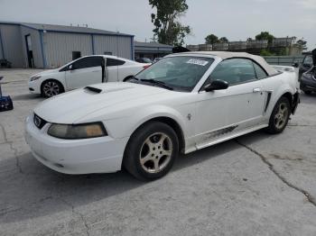  Salvage Ford Mustang