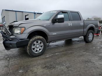  Salvage Ford F-150