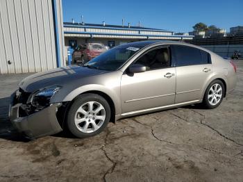  Salvage Nissan Maxima