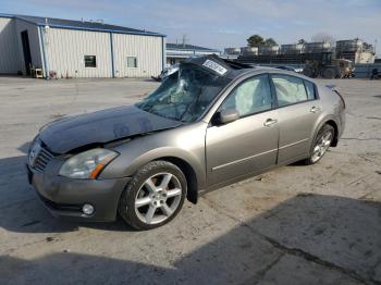  Salvage Nissan Maxima