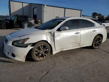  Salvage Nissan Maxima