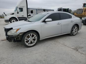  Salvage Nissan Maxima