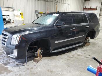  Salvage Cadillac Escalade