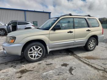  Salvage Subaru Forester