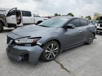  Salvage Nissan Maxima