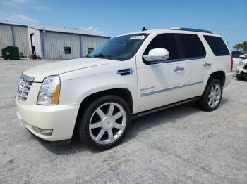  Salvage Cadillac Escalade