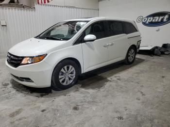  Salvage Honda Odyssey