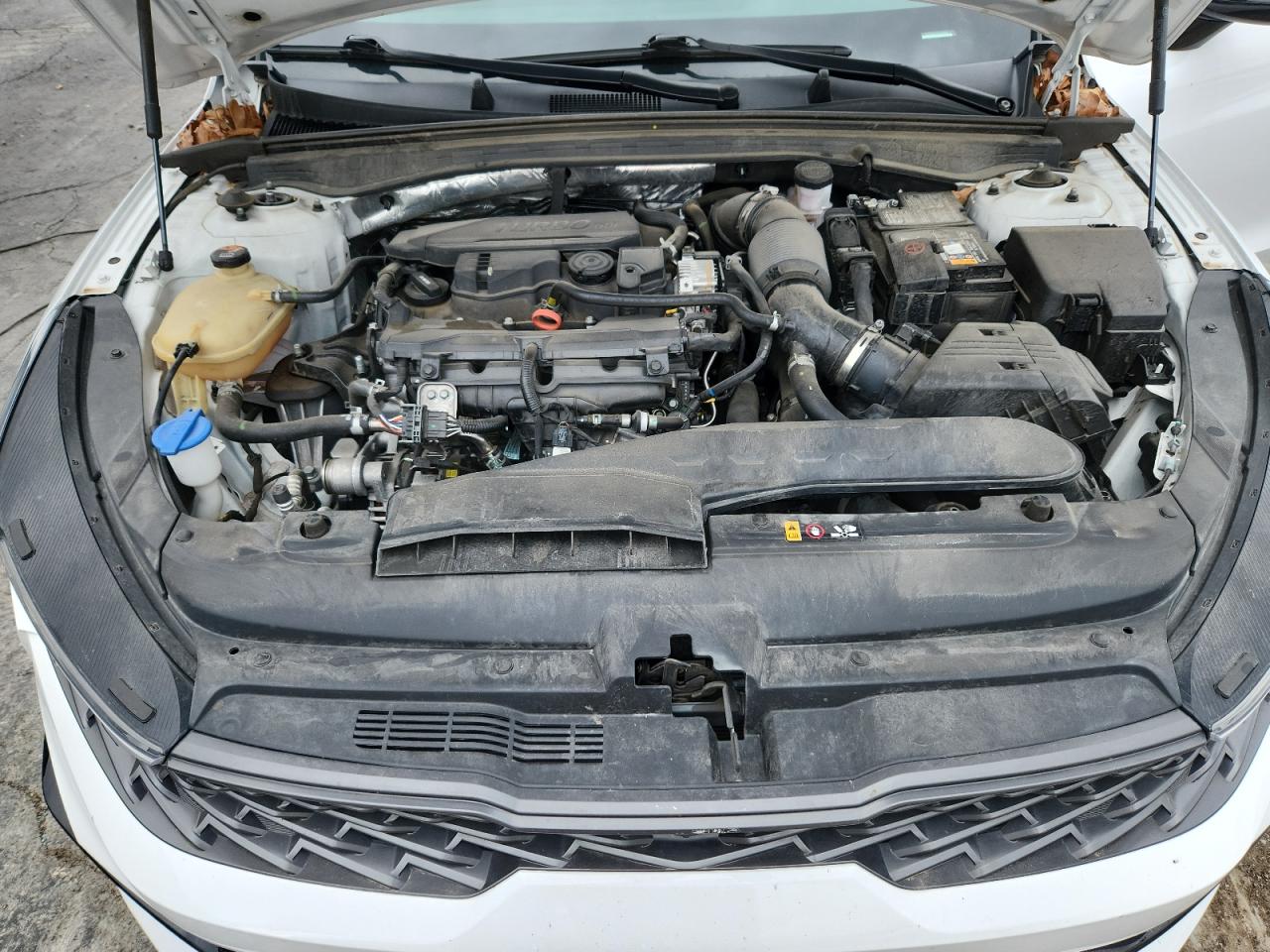 Kia K5 Gt Line Image 13