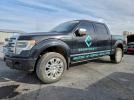 Ford F-150 Supercrew Image 1