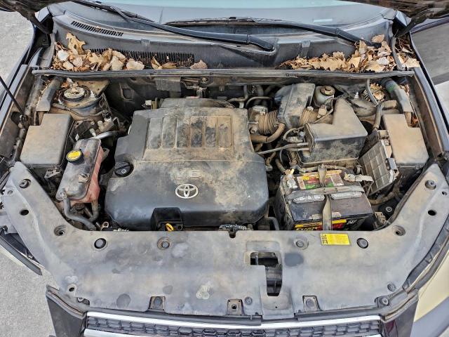 Toyota RAV4 Limited Image 11