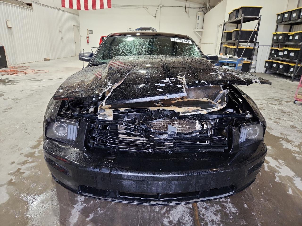 Ford Mustang Gt Image 3