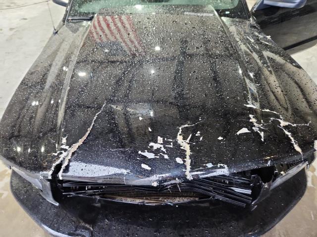 Ford Mustang Gt Image 13