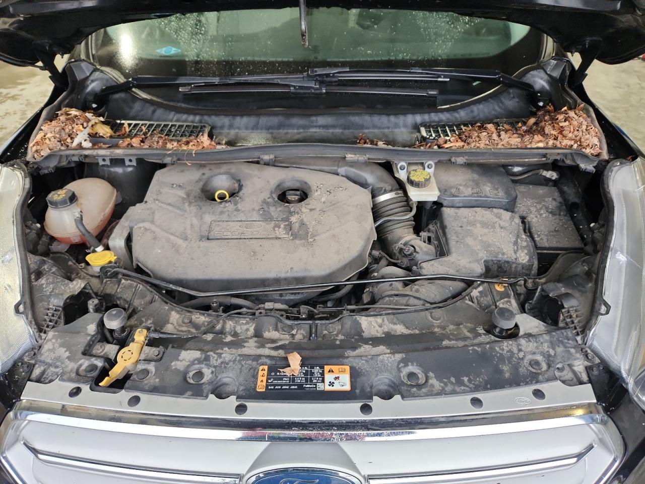 Ford Escape Se Image 10