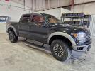 Ford F-150 Svt Raptor Image 8