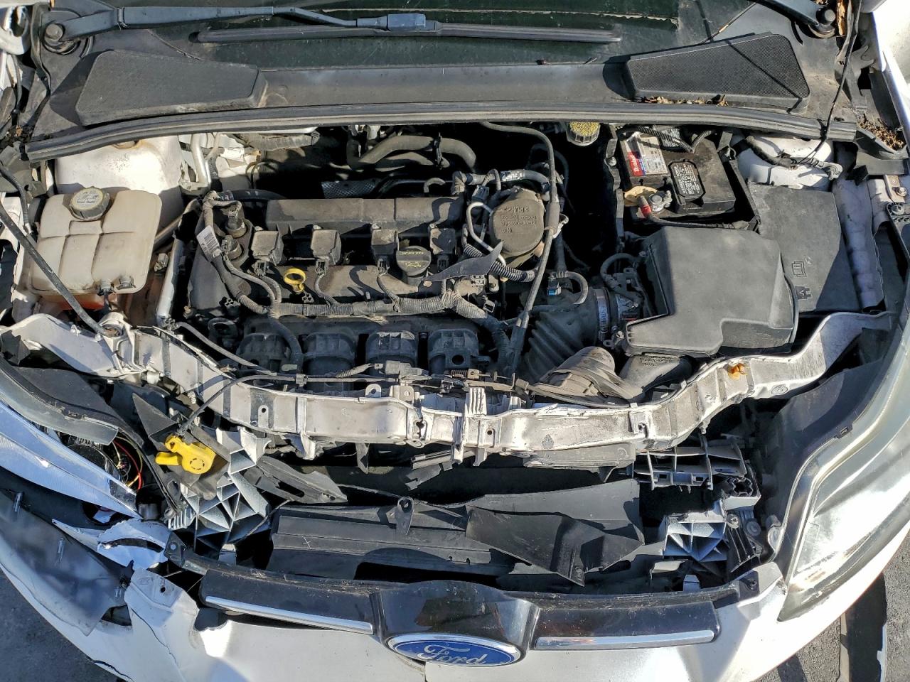 Ford Focus Sel Image 5