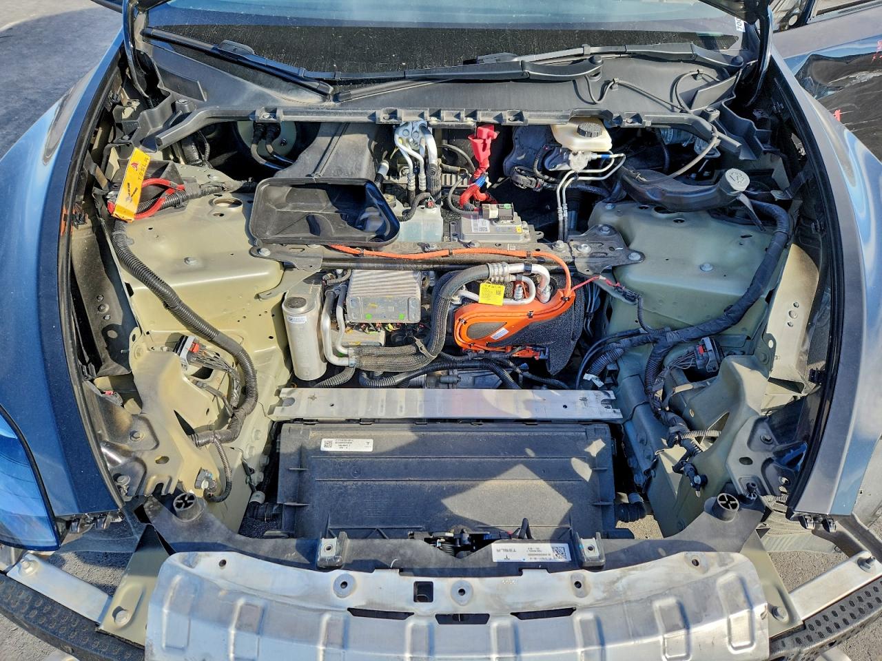 Tesla Model Y Image 13